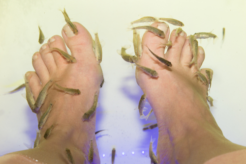 Manfaat terapi ikan di kaki